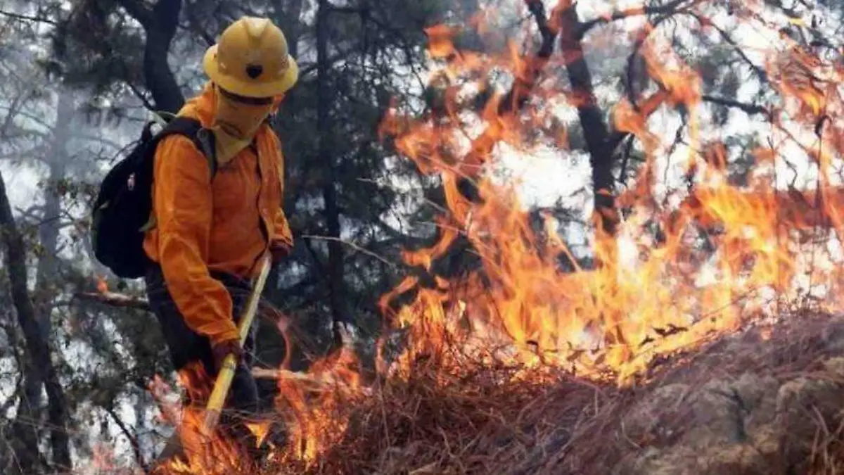 Combate incendios cuartoscuro